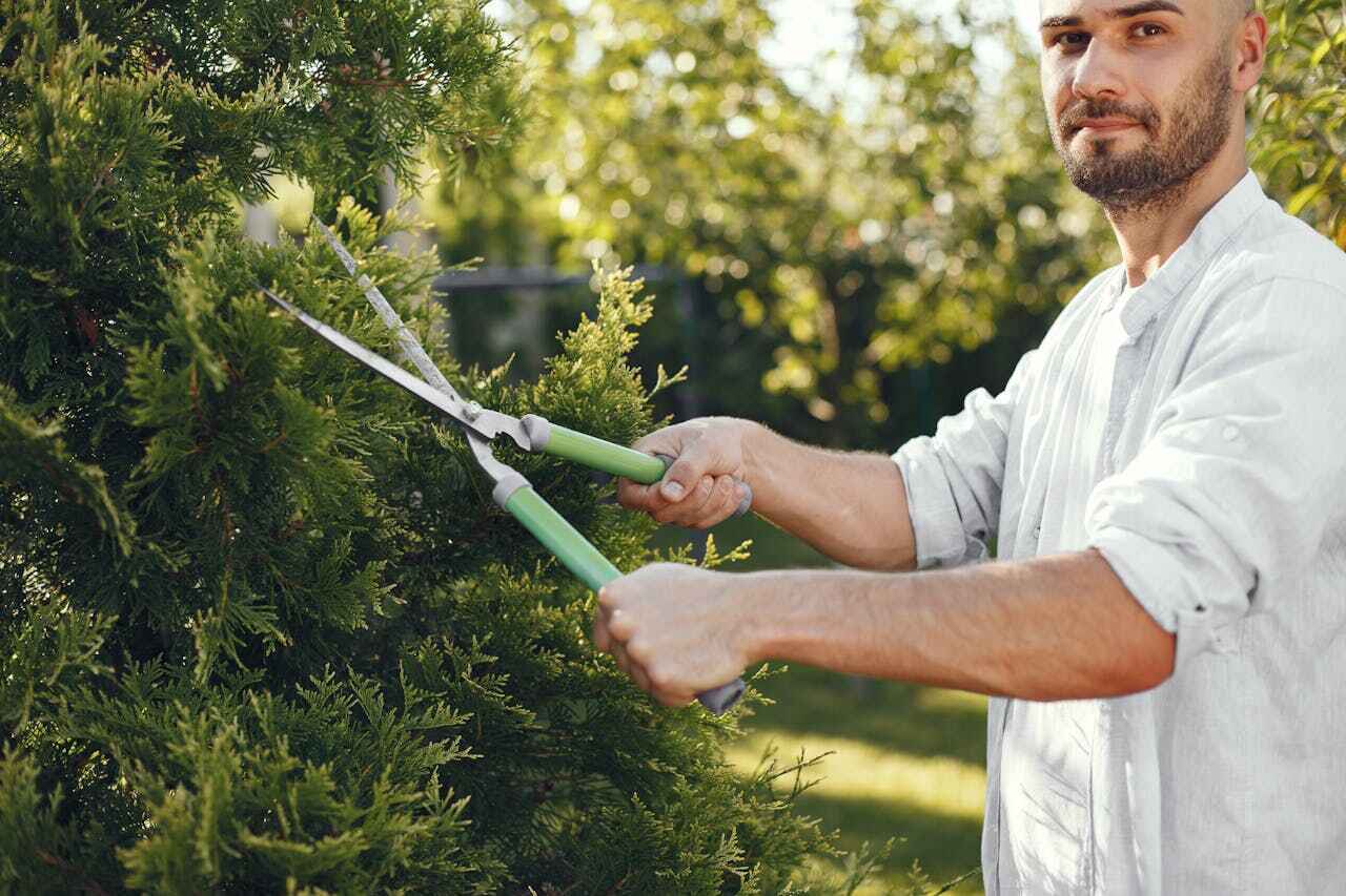  Fort Washington, MD TreeGuard Tree Service Pros